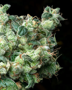 Island Mtn. Headband